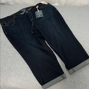 New Democracy Freedom Ankle Skimmer Jeans Size 24W Dark Wash Ab Solution Comfort